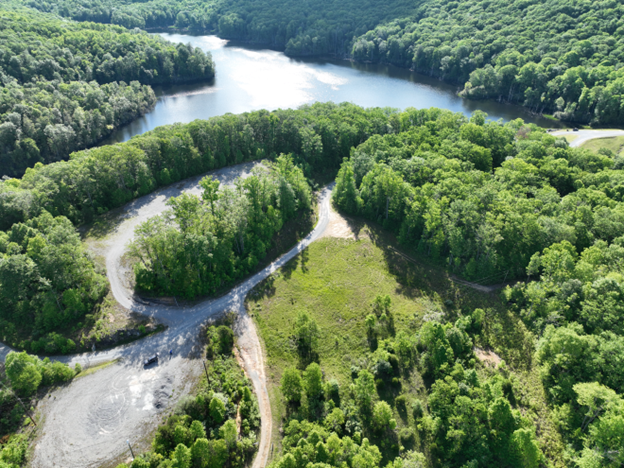 Imagen de la comunidad Dante